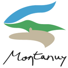 Montanuy